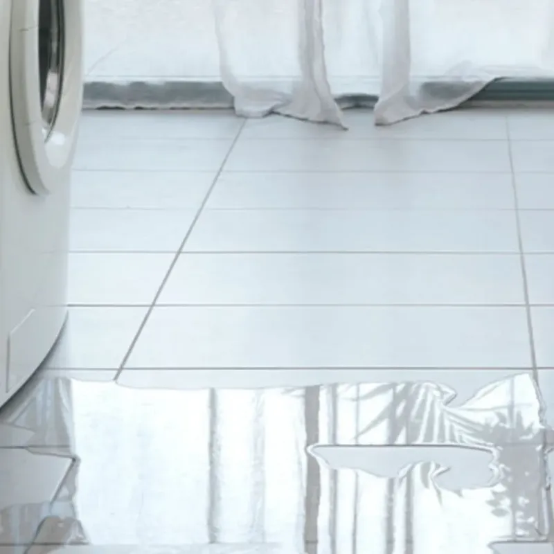 Appliance Leak Cleanup in Flathead County, MT